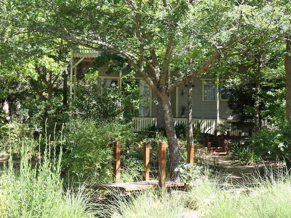 The cottage glimpsed through trees from the garden
