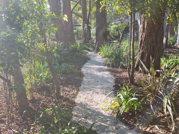 Pathways through the gardens